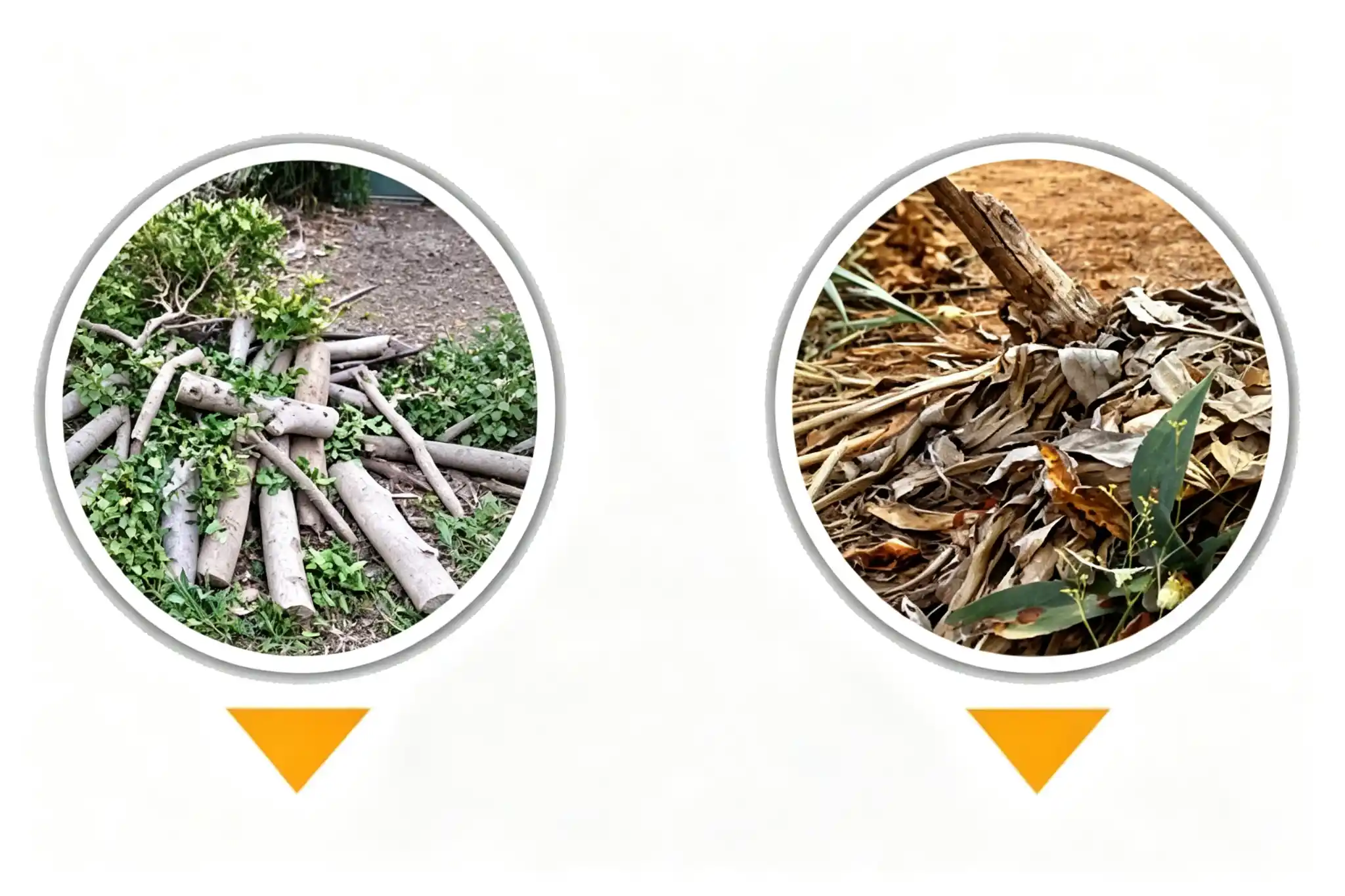 Wood crusher machine supplier China providing industrial wood crushing equipment for logs, branches, and biomass waste processing