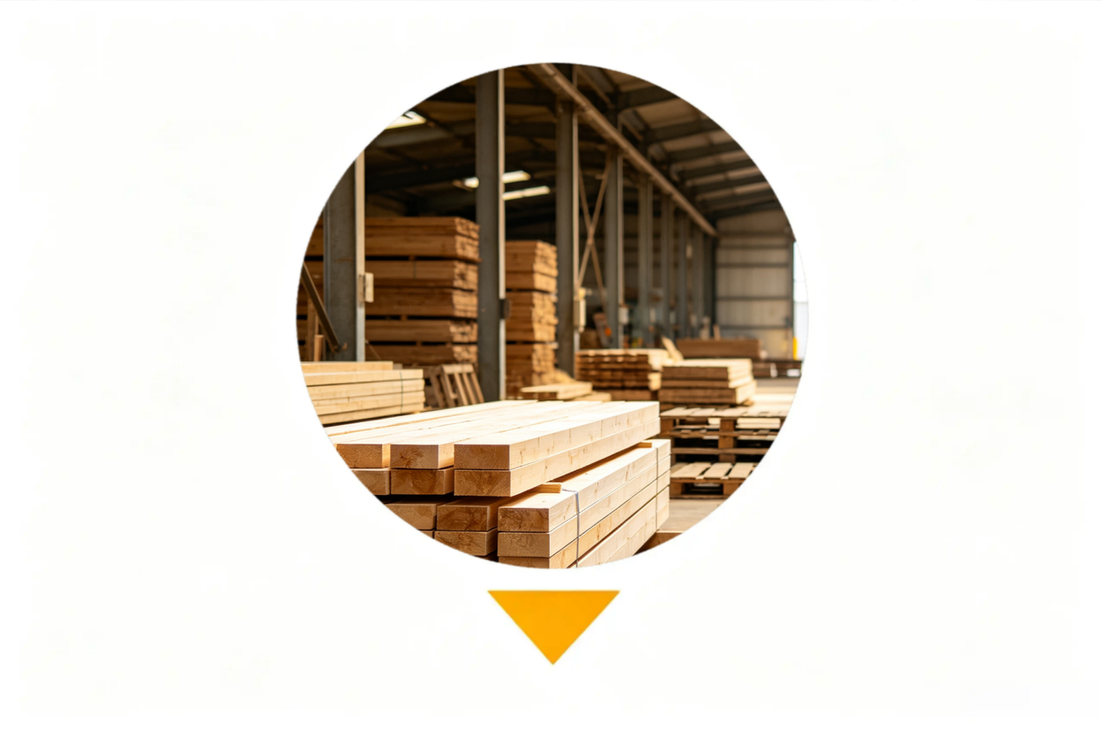 Electric multi-blade saw for wood processing with motor-driven circular saw blades for efficient timber cutting